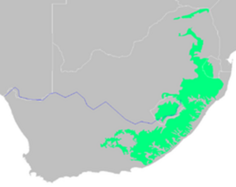 04031vby-772e-236x187.png