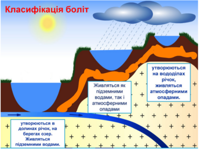 04031w5p-826a-398x298.png