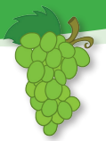 04031zjc-7d60-119x158.png