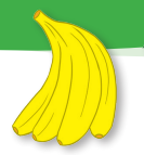 04031zjg-28fa-133x143.png