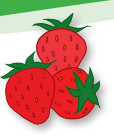 04031zjh-723c-114x139.png
