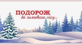 Логіко-математичний розвиток (6 рік життя) Тема : «Подорож до зимового лісу»