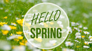 Тематична діагностувальна робота з теми "Hello spring"