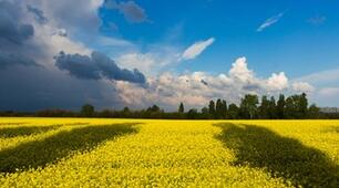5 клас. Україна – найдорожчий скарб. Контрольна робота