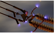 04032ls9-d841-195x118.png