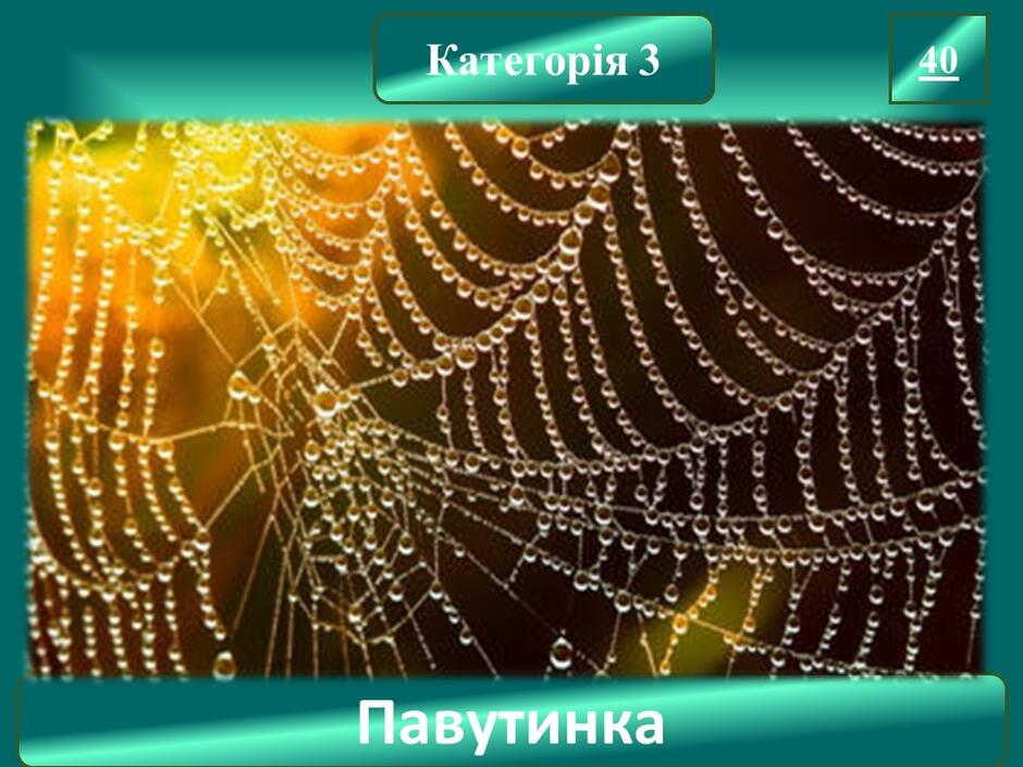 04032ngy-061d-940x705.jpg