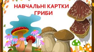 Навчальні квртки по темі " Гриби"