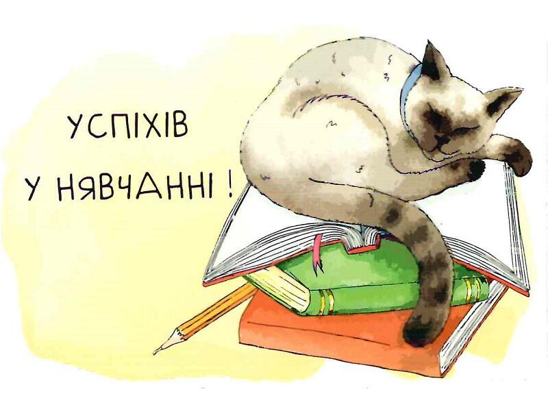 Листівка «Успіхів у нявчанні!», - купить по низкой цене в Украине | Книгарня «Є»