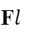 04032oz0-ab96-29x32.png