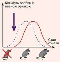 Природний добір, боротьба за існування | Тест на 16 запитань. Біологія
