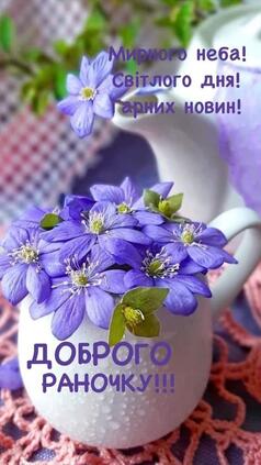 04032pdt-4cd7-238x423.jpg