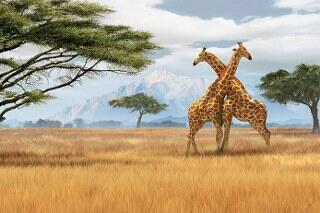 04032w8o-f281-320x213.jpg