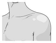 04032wpv-93f5-188x144.png