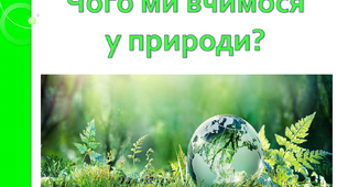Чого ми вчимося у природи?