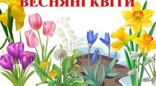 Узагальнюємо та систематизуємо знання із теми "Весняні квіти"