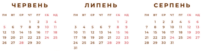 040331zs-d124-712x182.png