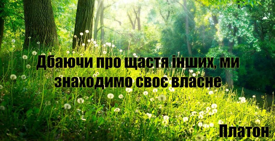 04033252-ca7b-940x484.jpg