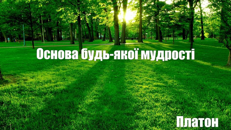 04033253-4da4-940x529.jpg