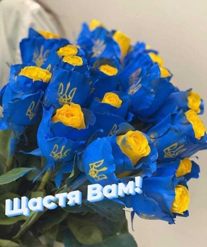 Возможно, это изображение незабудка болотная, эустома и текст
