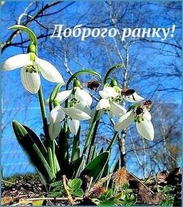 040337j5-dbac-428x484.jpg