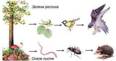 040337ol-2d89-394x207.jpg
