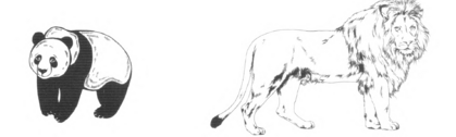 040338b5-892a-419x126.png