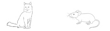 040338ch-cab5-385x111.png
