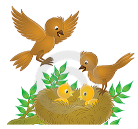 04033amj-9d99-278x261.png