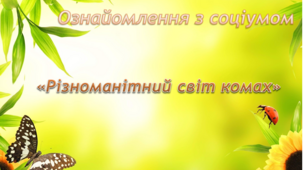Ознайомлення з соціумом. Середня група. "Різноманітний світ комах"