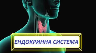 Ендокринна регуляція. Залози внутрішньої та змішаної секреції.