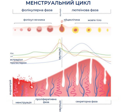04033g57-3a64-386x347.png