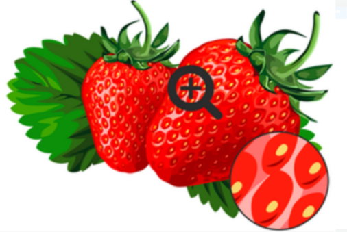 04033i95-417e-506x339.png