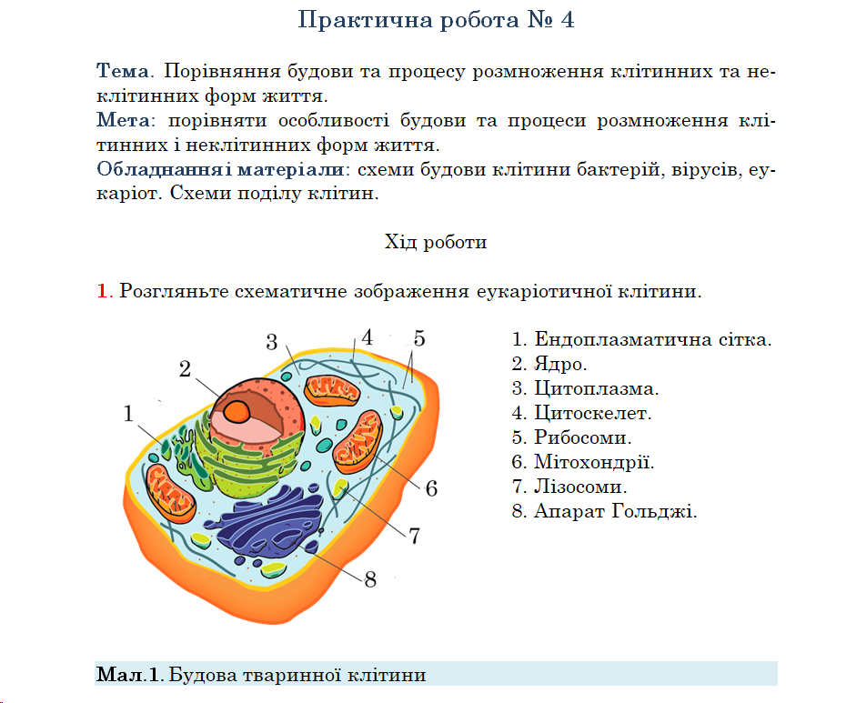 04033inr-73aa-930x773.png