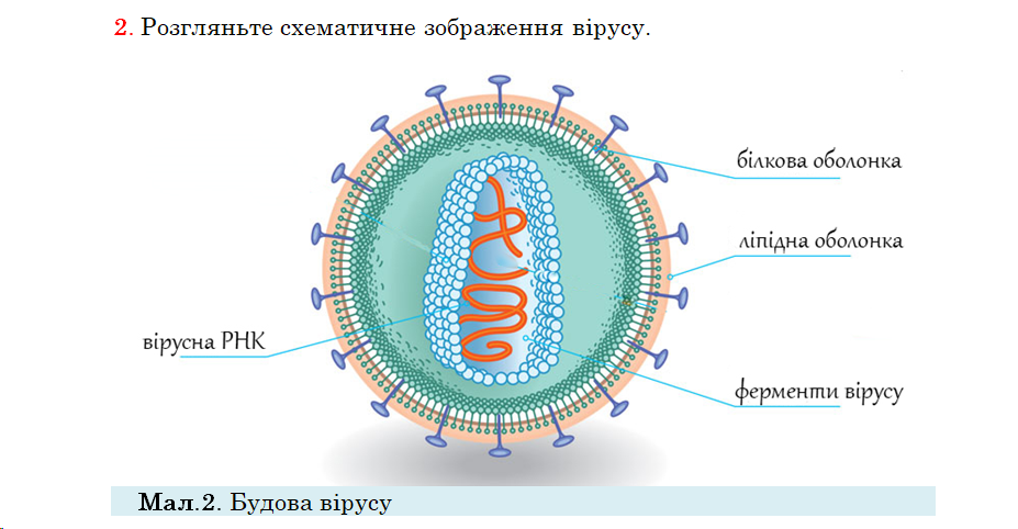 04033io4-7dc3-927x482.png