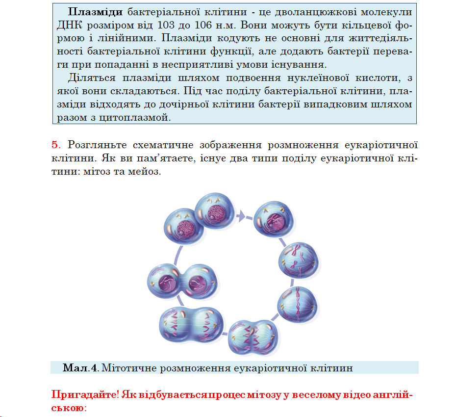 04033iok-6ba3-928x850.png