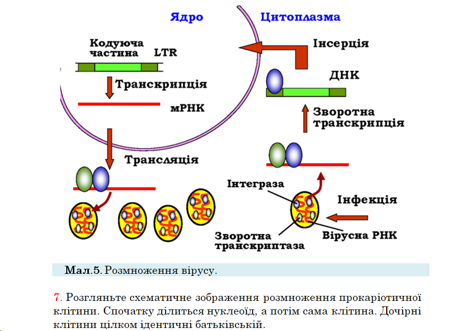 04033ip8-043a-930x660.png