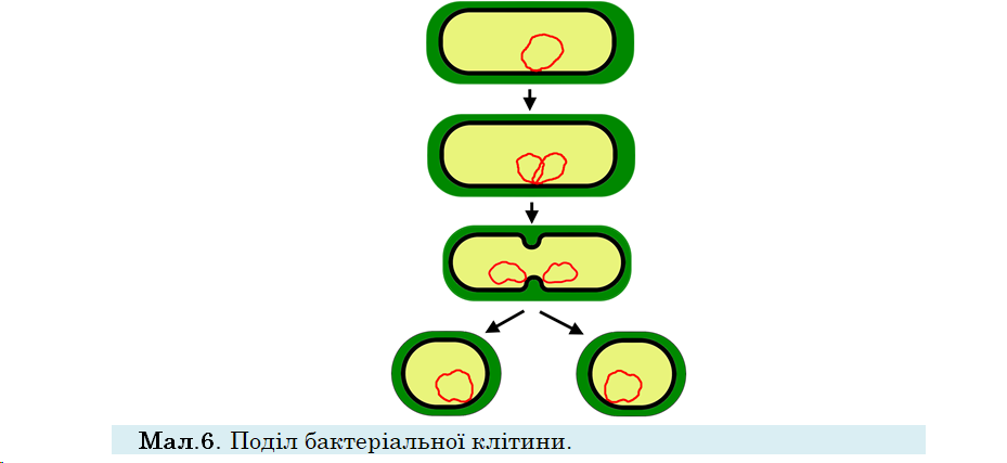 04033ipd-d02b-929x427.png