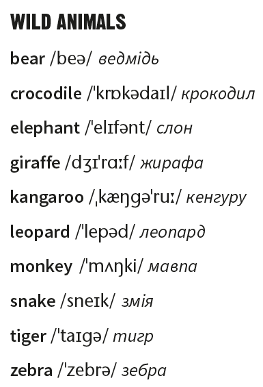 04033l15-6413-385x565.png