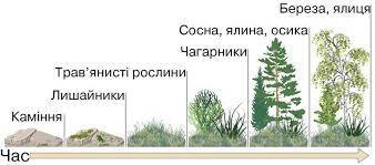 Екологічні сукцесії. Закономірності сукцесій | Урок на 5 завдання. Біологія і екологія