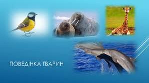 Поведінка тварин. Організми і середовище існування.