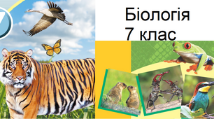 7 клас Річна контрольна робота