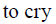04033r6t-c9cb-56x24.png