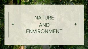 Презентація до уроку англійської мови у 10 класі за темою "Nature and environment"