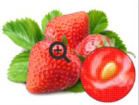 04033wlp-0d97-201x151.png