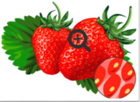 04033wlv-f092-201x147.png