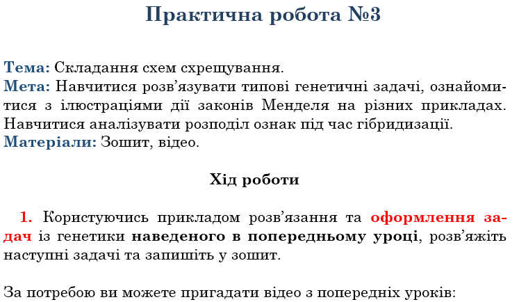 04033xy7-9479-747x434.png