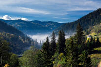 04033xyy-3d9e-205x137.jpg