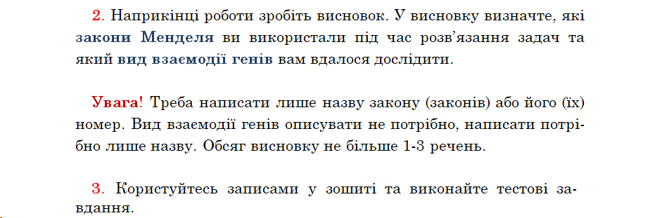 04033xzw-7ec5-931x311.png