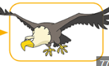 0403449w-9b6d-155x95.png