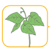 040344a8-ec84-101x101.png